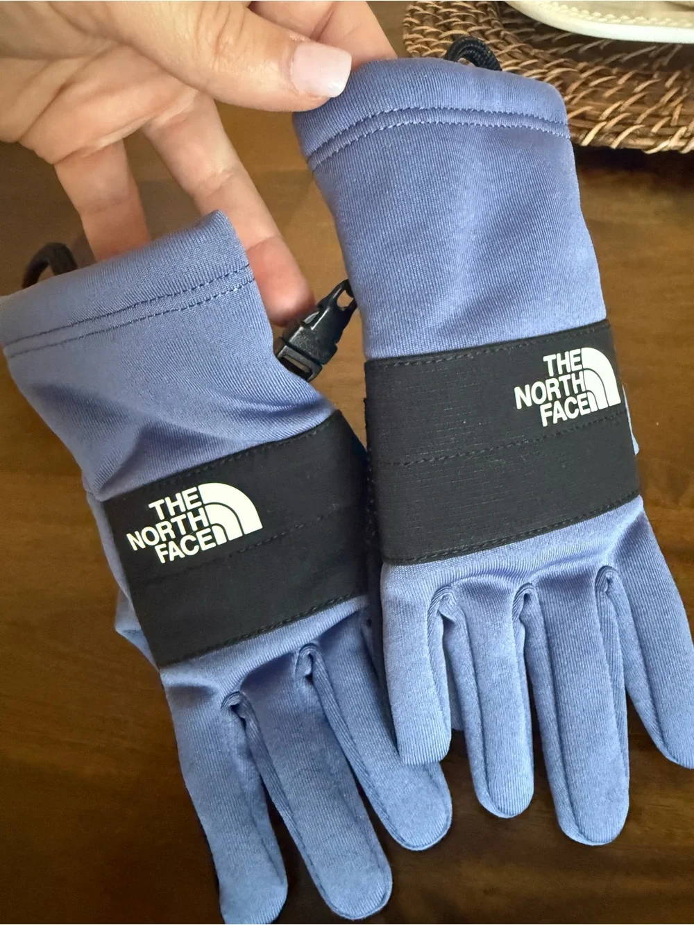 The North Face cozy mittens